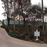IMG_3248 IMG_3248