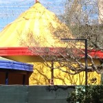 IMG_3652 IMG_3652
