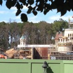 IMG_3655 IMG_3655