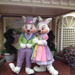 IMG_5142 IMG_5142