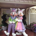 IMG_5143 IMG_5143