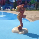 IMG_7686