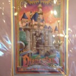 IMG_9449 IMG_9449