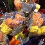 IMG_0997 IMG_0997
