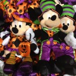 IMG_1023 IMG_1023