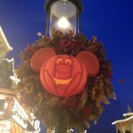 IMG_1498 IMG_1498
