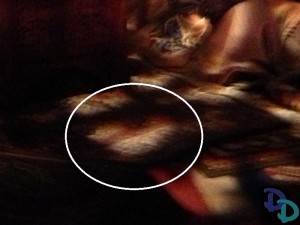 Spaceship Earth Hidden Mickey