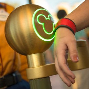 Disney Magic Bands