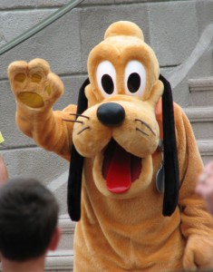 Pluto Disney Limited Time Magic