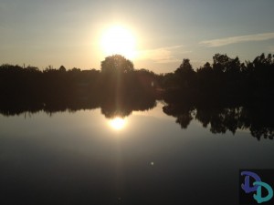 Disney's Animal Kingdom