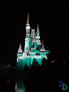 Magic Kingdom Christmas lights