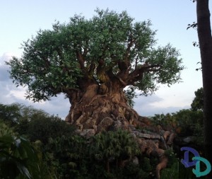 Disney's Animal Kingdom hours