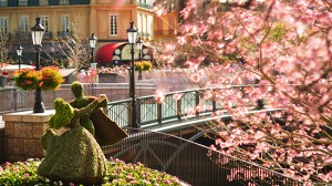 Disney Limited Time Magic Epcot