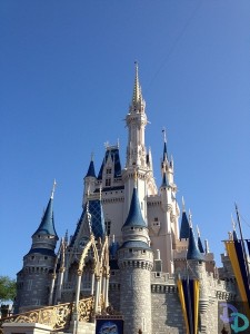 Disney World Obamacare