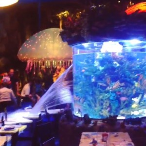 Disney T-Rex aquarium leak