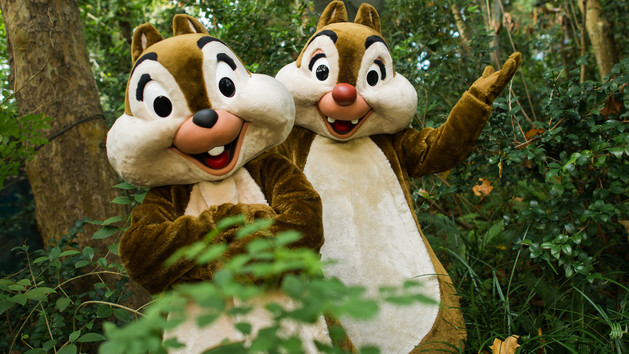magic kingdom character meet and greet chip n dale
