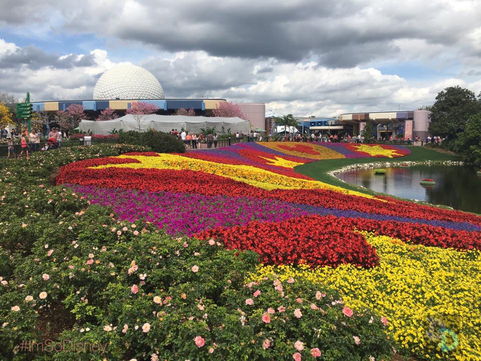 epcot flower garden 2017