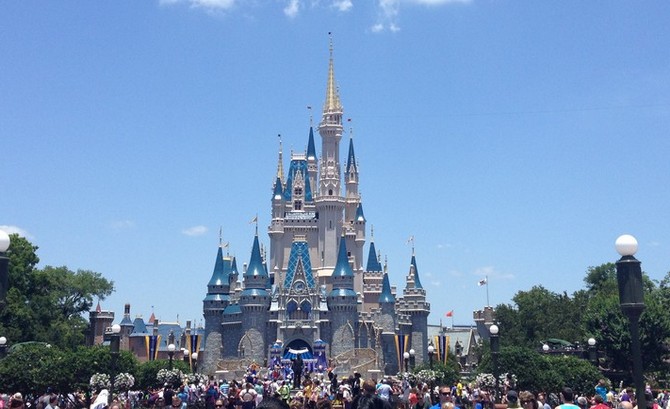 walt disney world alligator attack graves sue