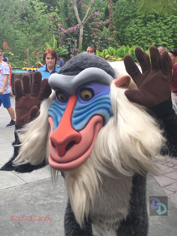 woody jessie magic kingdom characters rafiki